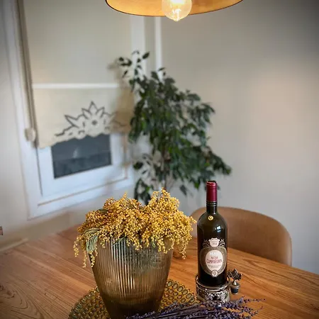 Appartement 2 Bedroom With Bosphorus View *